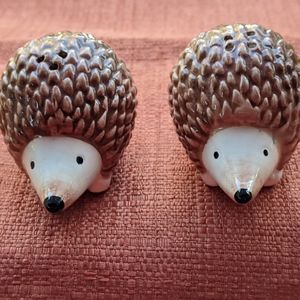 Salt and Pepper Smiling Porcupines. NEW!